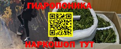 крисы Краснокаменск